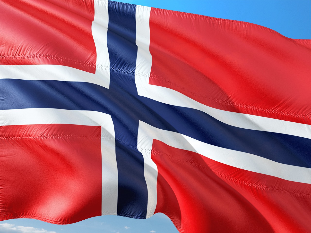 Projeler